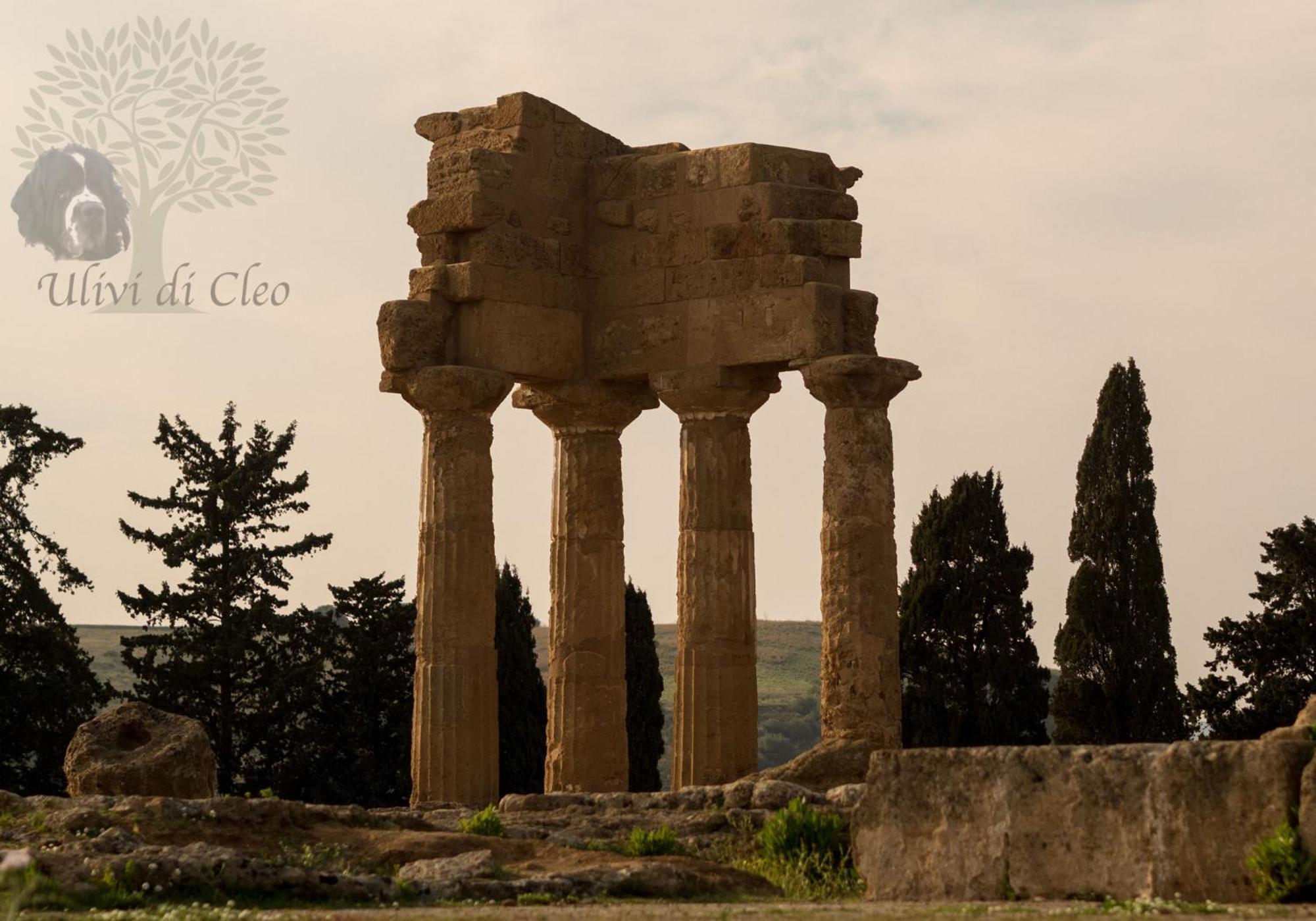 Ulivi Di Cleo Guest House Realmonte Exterior photo