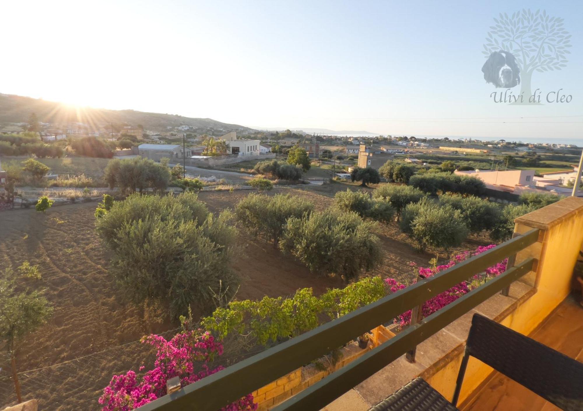 Ulivi Di Cleo Guest House Realmonte Exterior photo